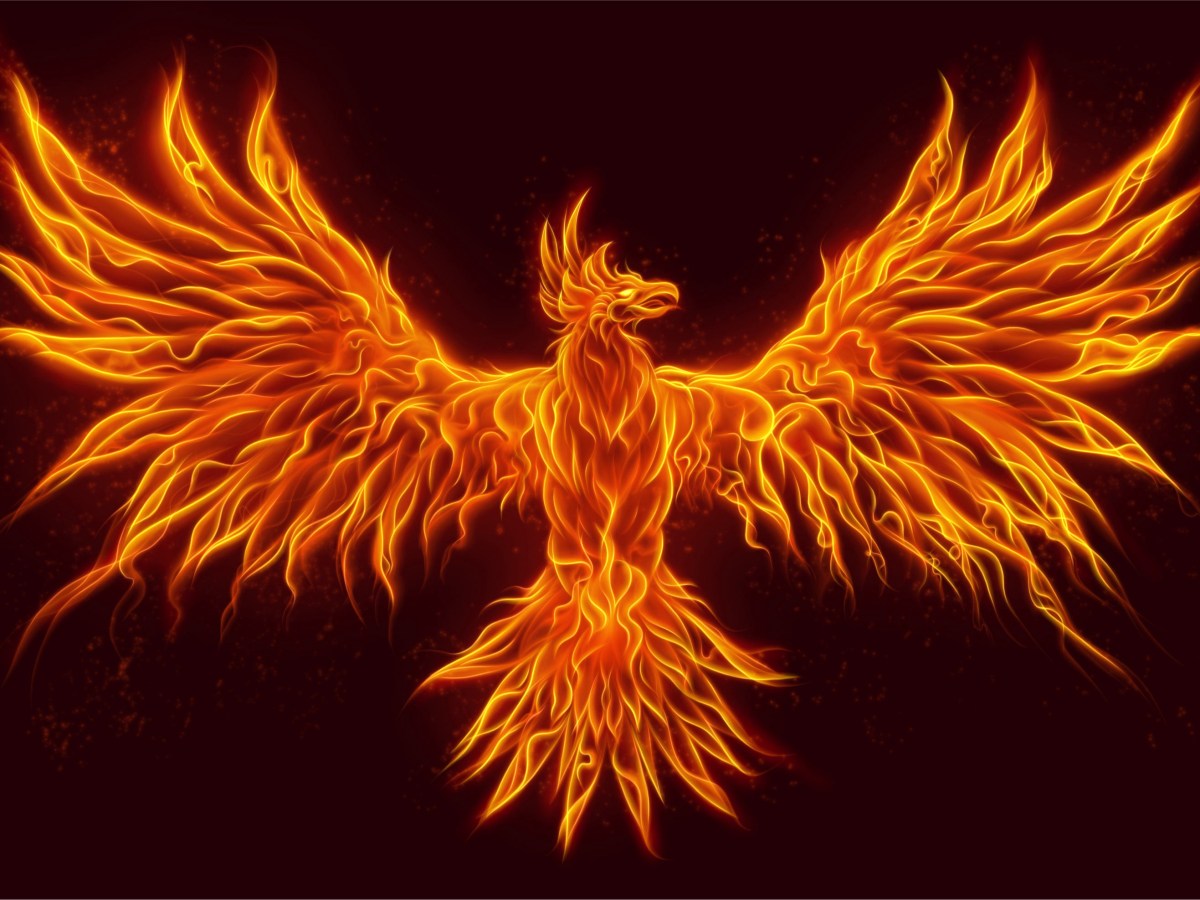 Rise Phoenix, Rise!