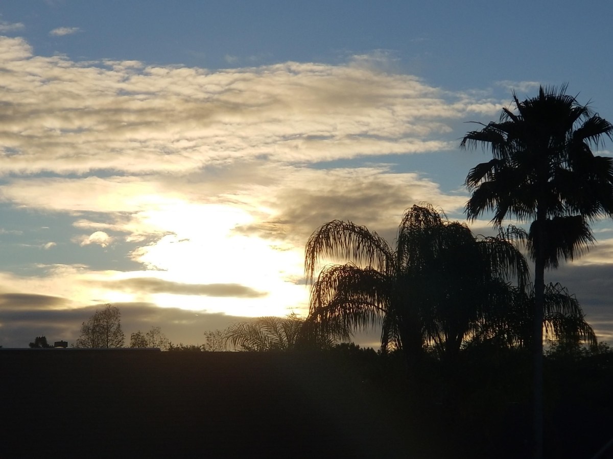 First World Problems