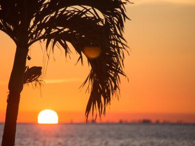 It’s Been A Whole&nbsp;Year…